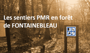 Sentiers de Fontainebleau