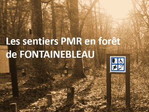 Sentiers de Fontainebleau