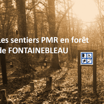 Sentiers de Fontainebleau